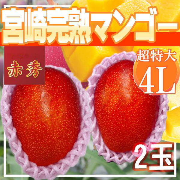 宮崎県産　宮崎完熟マンゴー　4L　2玉　超特大　赤秀　クール便発送