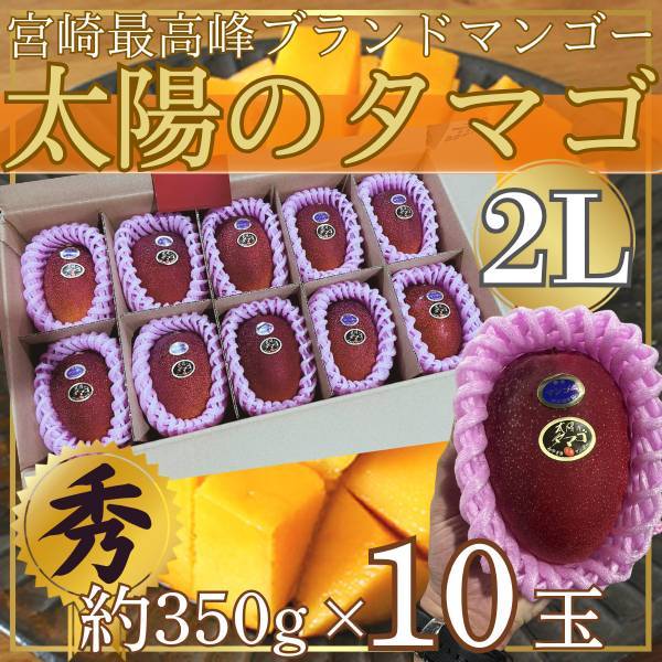 宮崎県産　2L　太陽のタマゴ1玉約350g×10玉 ※クール便発送