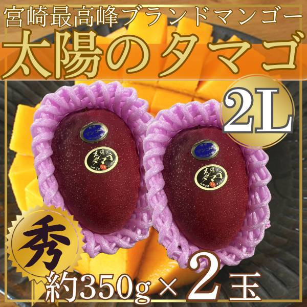 宮崎県産　太陽のタマゴ1玉　2L　約350g×2玉　※クール便発送