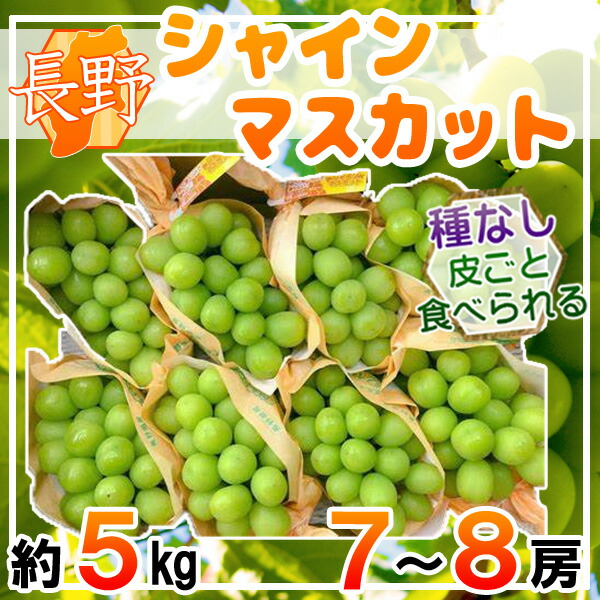 楽天市場】長野県産 シャインマスカット 2房（約1.2kg） : 長野