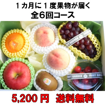 1カ月に1度果物が届く全6回【5940円】　送料無料 100年以上続く老舗果物屋の3代目が選ぶ果物の盛り合わせ定期購入