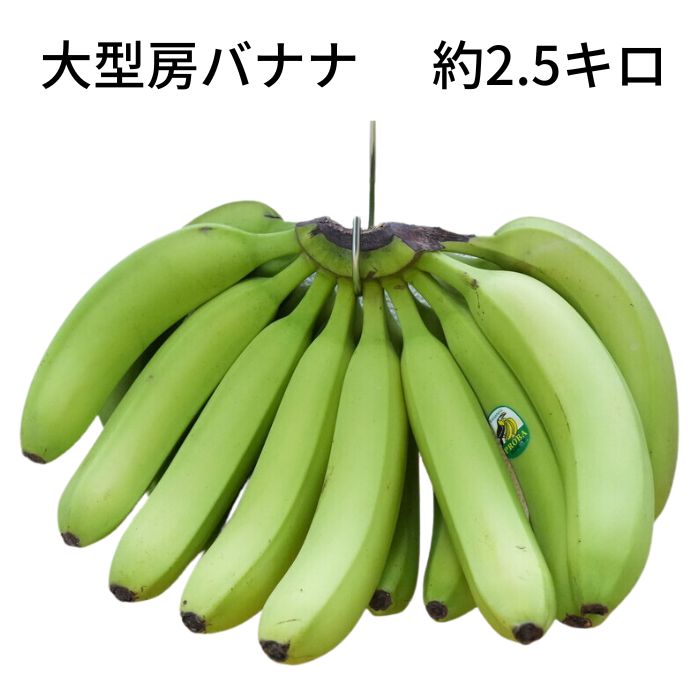 モンキーバナナさん専用 バナナ 2種セット| 種・苗・ガーデニング用品の【タキイネット通販】