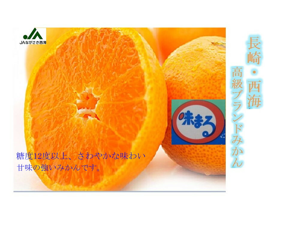 楽天市場】長崎県産 西海・味まるみかん 赤秀 約5kg S/M/L