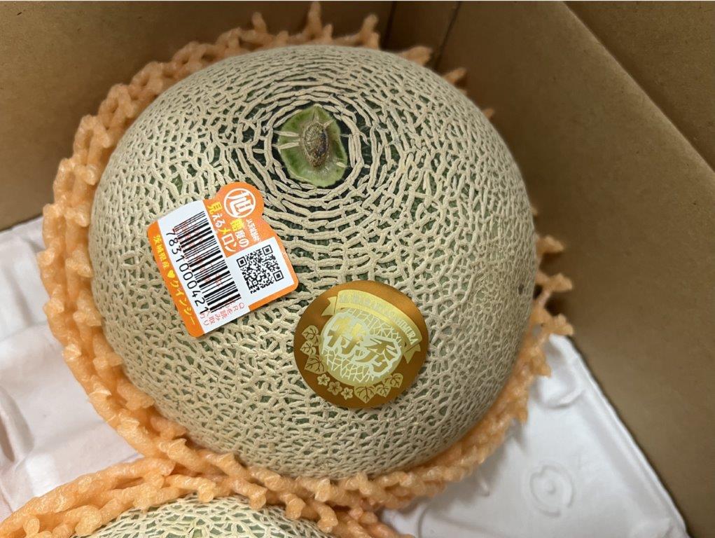 JA茨城旭村　クインシーメロン　 特秀　3玉～5玉　風袋込約5kg　贈答用<br>メロン/果物/フルーツ/ギフト/贈答用/プレゼント/お中元/内祝い/御祝<br>北海道・離島地区別途送料500円<br>5月下旬～6月発送日付指定不可