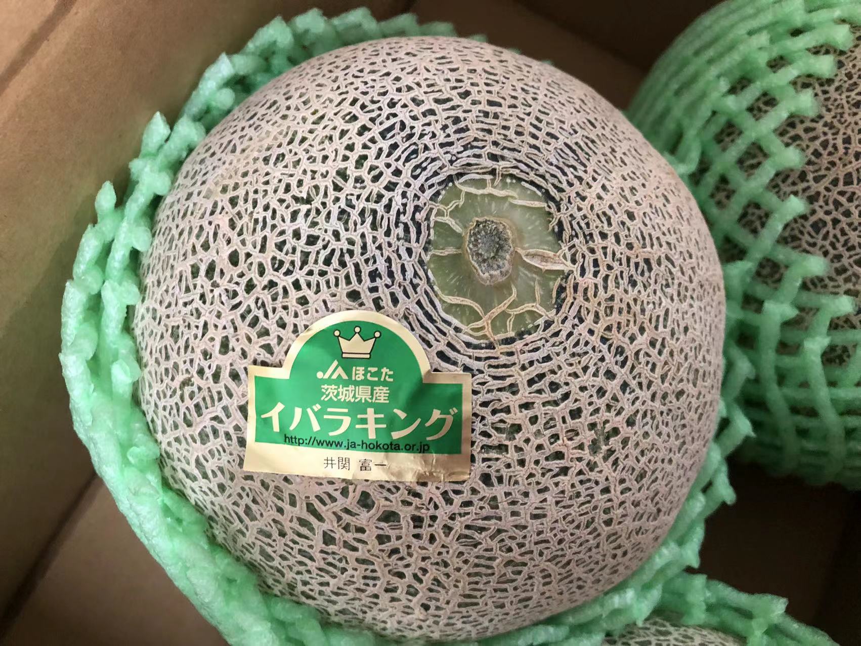 13 【青森県産】タカミメロン(青肉) 5玉　 約8.5キロ