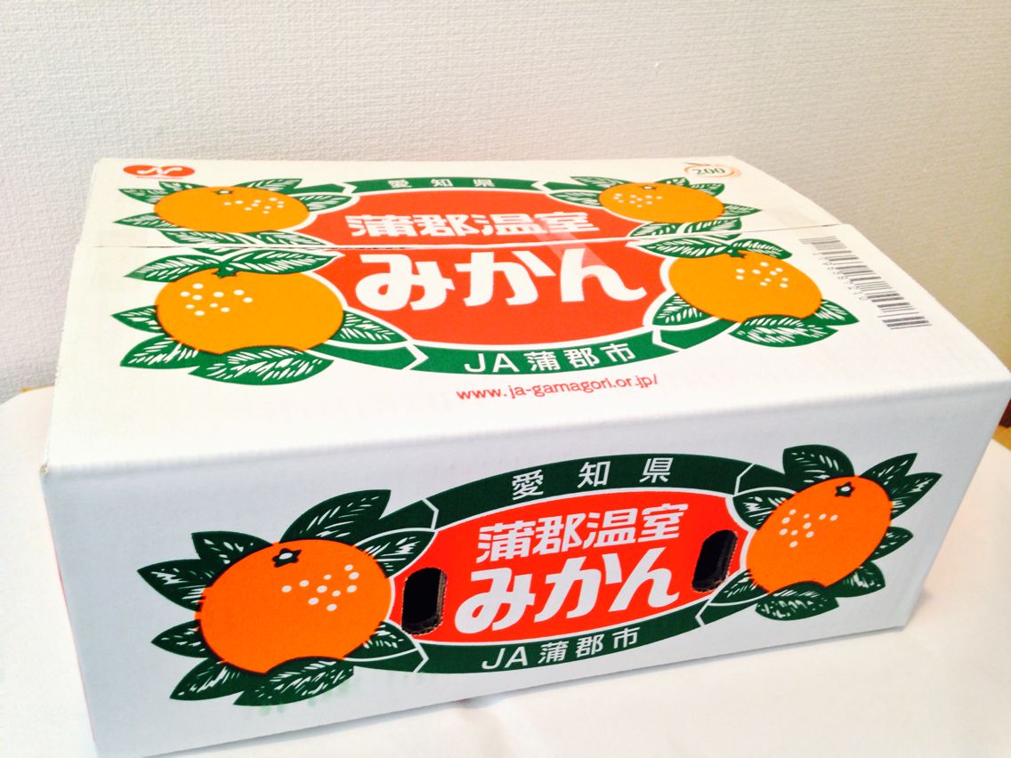 【お中元】愛知産　蒲郡温室みかん(ハウスみかん) Ｓサイズ　秀品　約５kg　<br>蒲郡ハウスみかん/蒲郡温室みかん/温室みかん/みかん/贈答用/お中元<br>北海道・中国・四国・九州・離島地区別途クール送料660円<br>６月中旬～７月上旬頃発送日付指定不可