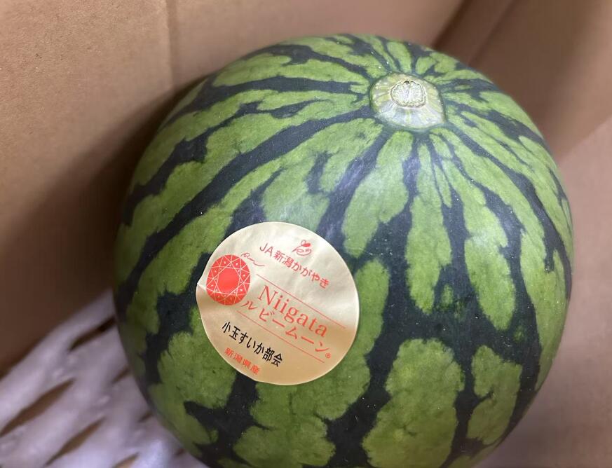 新潟県ブランド西瓜　砂丘すいか　Niigataルビームーン　秀品　4玉入り　贈答用　産地原箱 【小玉すいか】【ルビームーン すいか】【小玉西瓜】【砂丘すいか】 7月上旬～下旬頃発送日付指定不可 北海道・中国・四国・九州・離島地区別途クール料金760円