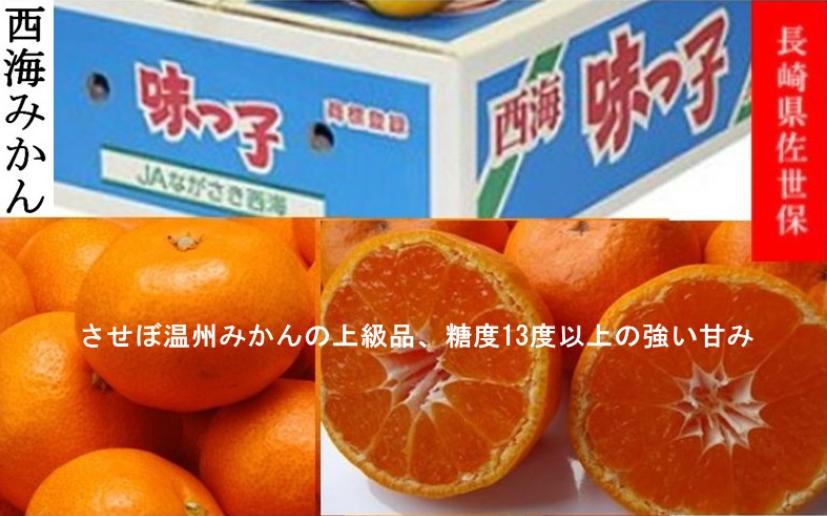楽天市場】味好鳥みかん(あじこうちょう)通販 お歳暮長崎県 楽天市場】味好鳥みかん(あじこうちょう)通販 お歳暮長崎県