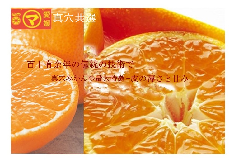 楽天市場】愛媛西宇和 真穴みかん 約5キロ Sサイズ お歳暮贈答