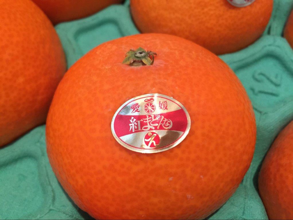 【2021春夏新色】 愛媛産JAえひめ中央 紅まどんな 赤秀 Lサイズ 15玉 約3kg 化粧箱入り お歳暮贈答品