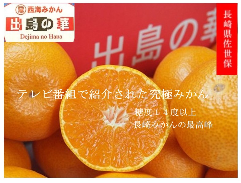 高糖度みかん　出島の華 させぼ温州みかん S 5kg 役65玉 糖度14度以上『小玉 出島の華（品種：させぼ温州）』長崎県産