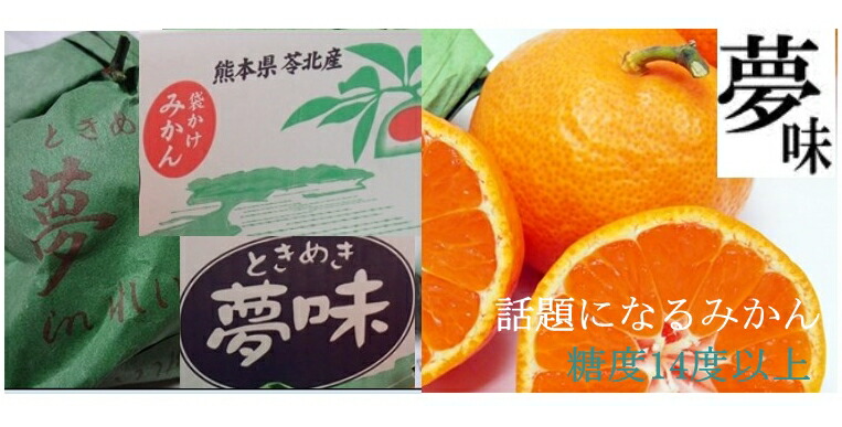 【楽天市場】越冬みかん完熟袋掛け 熊本県苓北産【夢味（ときめき）】みかん 「秀品」 約50玉 小【1月中旬～下旬発送日付指定不可】【北海道 ...