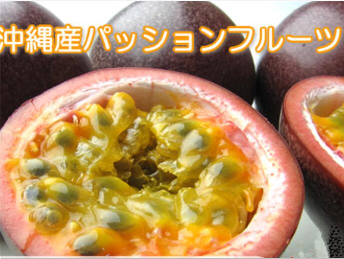 〈ウリミバエ防除検査合格品〉沖縄県産 パッションフルーツ約3.2kg【常温便】② ウリミバエ防除検査合格品〉沖縄県産 パッションフルーツ約800g
