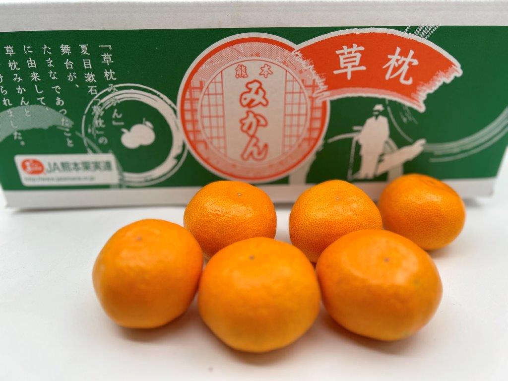 楽天市場】熊本産 JAたまな特選みかん 草枕みかん 赤秀 約4kg Sサイズ