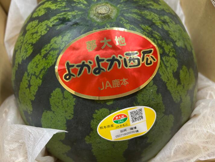 熊本県統一ブランド　「夢大地かもと」　秀　2L又は3Lサイズ 1玉 （7～８kg前後） 贈答用<br>【大玉すいか】【大玉スイカ】【スイカ】【大玉西瓜】【西瓜】<br>【北海道・中国・四国・九州・離島地区別途クール送料1000円】<br>3月下旬～5月末発送日付指定不可
