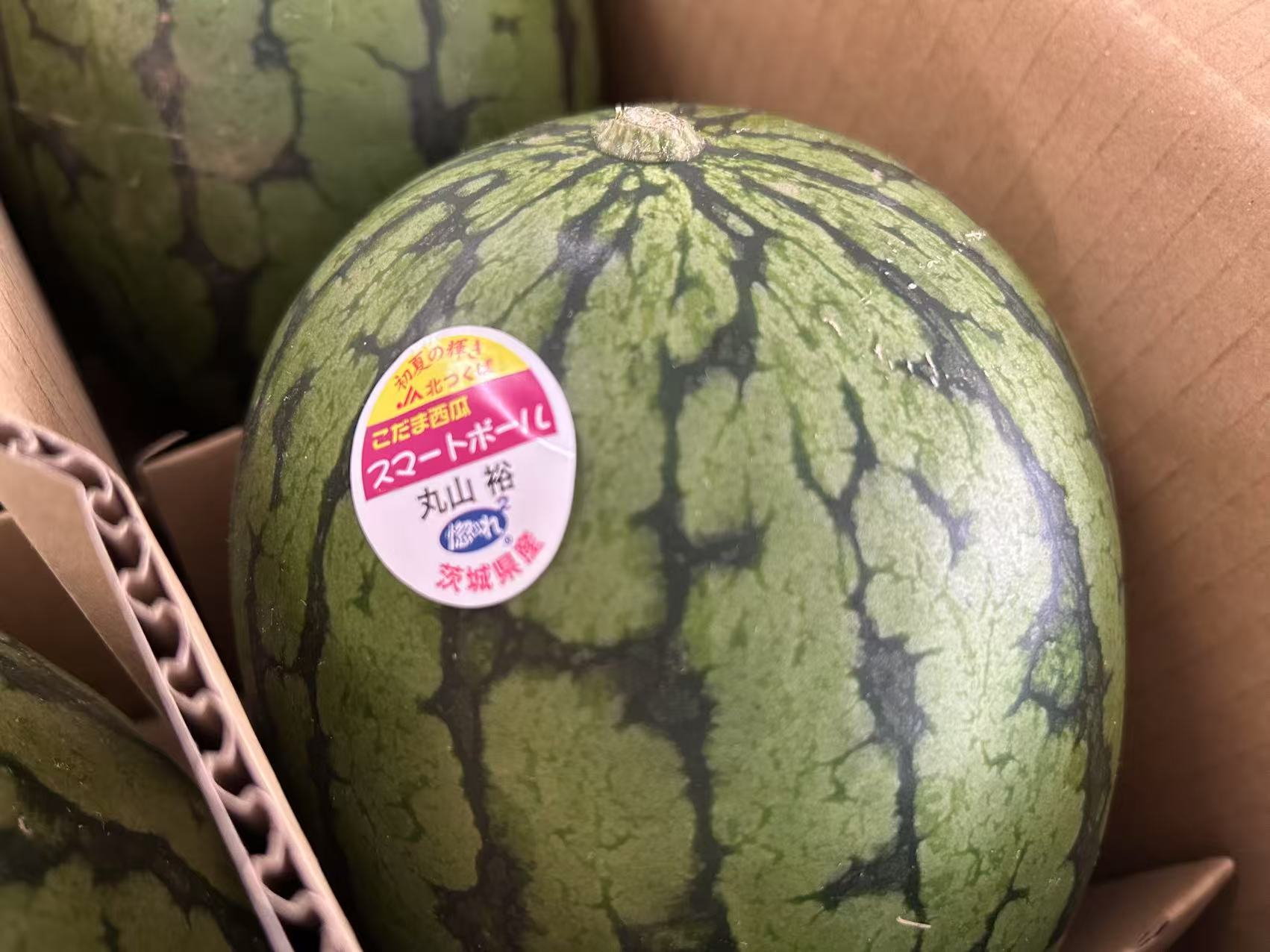 茨城産　こだま西瓜　スマートボール　秀　5玉～6玉　贈答用<br>【小玉すいか】【スイカ】【小玉スイカ】【小玉西瓜】【西瓜】<br>北海道・中国・四国・九州・離島地区別途クール料金760円<br>5月下旬～6月中旬頃発送日付指定不可