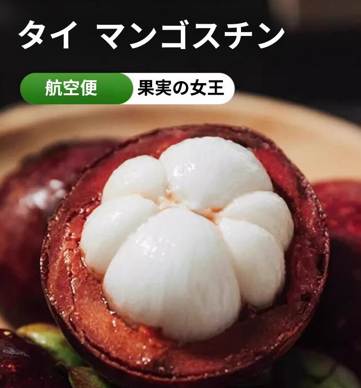 タイ産 　マンゴスチン　サイズ： M～L 24玉～36玉（ 約2kg以上）<br>お中元ギフト/内祝い/ 贈りもの/ 贈答用/ お祝い<br>北海道・九州・離島地区別途クール料金660円<br>4月下旬～6月中旬頃発送日付指定不可