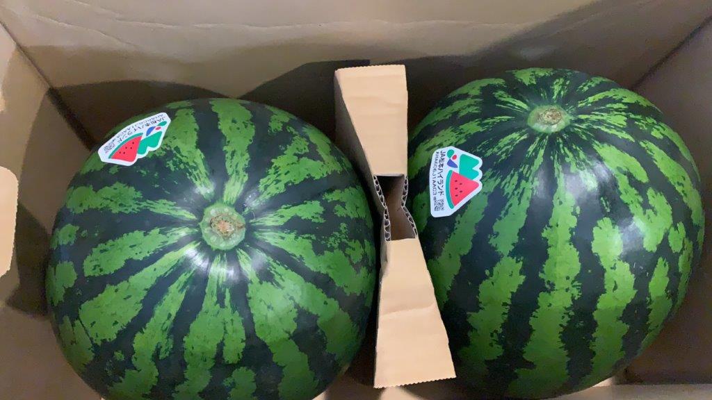 長野産西瓜　松本ハイランド スイカ　 A等級 　Lサイズ2玉<br>（約6kg/1玉）贈答用 <br>【夏ギフト】【大玉西瓜】【長野スイカ】【西瓜】【お中元】<br>【北海道・中国・四国・九州・離島地区別途クール送料1000円】<br>7月下旬～9月上旬頃発送日付指定不可