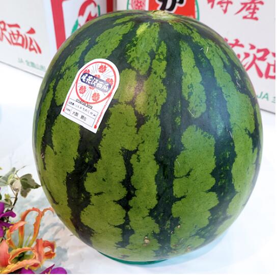 山形県大玉西瓜　尾花沢すいか　 A等級 （秀）　5Lサイズ1玉<br>（約9kg/1玉）贈答用 <br>【夏ギフト】【大玉西瓜】【山形スイカ】【西瓜】【お中元】<br>【北海道・四国・中国・九州・離島地区別途クール送料1000円】<br>7月下旬～8月下旬頃発送日付指定不可