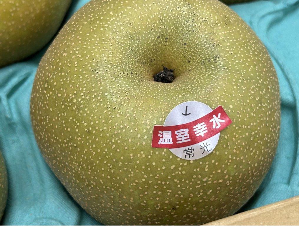 埼玉県　ハウス栽培のブランド梨　常光のなし　温室幸水梨　 秀品 　2L～3Lサイズ　 10玉～16玉 （約5kg ）<br>温室幸水/な/ナシ/幸水梨/お中元/贈答用/フルーツ<br>北海道・中国・四国・九州・離島地区別途クール料金760円<br>7月上旬～中旬頃発送日付指定不可
