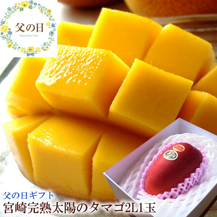 父の日 太陽のタマゴ 完熟マンゴー 父の日 プレゼント 父の日 ギフト 父の日 食べ物プレゼント 父の日 フルーツ 父の日 グルメ 父の日 プレゼント 義父 父の日2025 50代 60代 父の日 父の日 フルーツギフト [太陽のタマゴ2L1玉]
