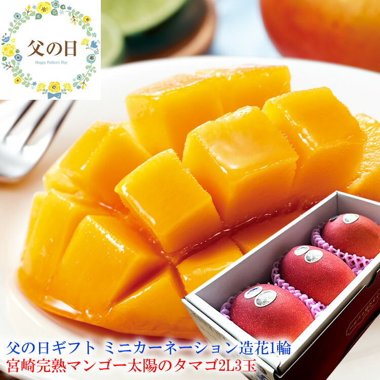 父の日 太陽のタマゴ 完熟マンゴー 父の日 プレゼント 太陽のタマゴ 父の日 ギフト 父の日 食べ物プレゼント 父の日 フルーツ 父の日 グルメ 父の日 プレゼント 義父 父の日2025 50代 60代 父の日 父の日 フルーツギフト [太陽のタマゴ2L3玉] 冷蔵便 クール便