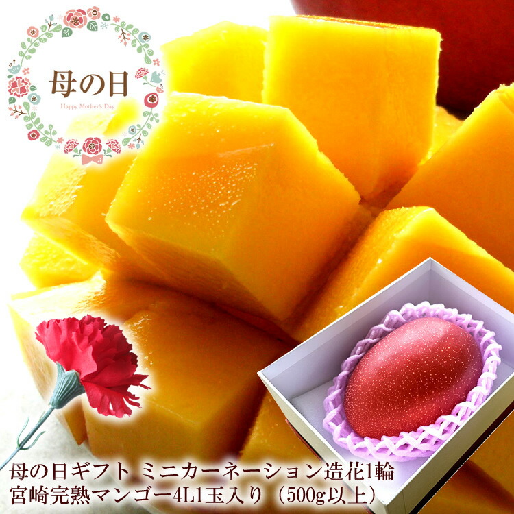 【遅れてごめんね】母の日 プレゼント 母の日 ギフト 母の日 食べ物プレゼント 母の日 フルーツ 母の日 グルメ 母の日 プレゼント 義母 母の日2025 60代 母の日 母の日 フルーツギフト ミニカーネーション造花付き 母の日 花[宮崎完熟マンゴー4L1玉]