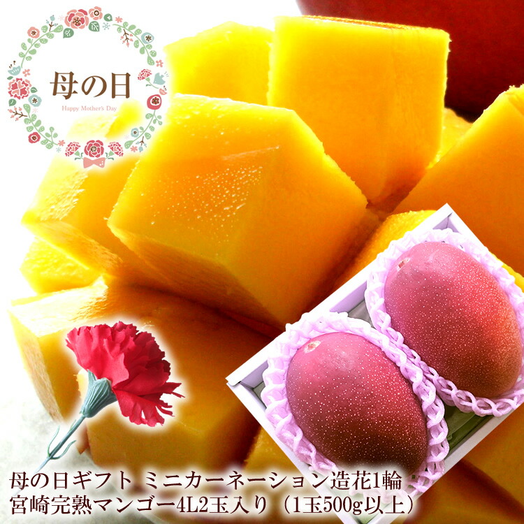 【遅れてごめんね】母の日 プレゼント 母の日 ギフト 母の日 食べ物プレゼント 母の日 フルーツ 母の日 グルメ 母の日 プレゼント 義母 母の日2025 60代 母の日 母の日 フルーツギフト ミニカーネーション造花付き 母の日 花 [宮崎完熟マンゴー4L2玉]