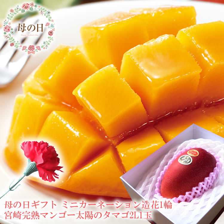 【遅れてごめんね】母の日 プレゼント 母の日 ギフト 母の日 食べ物プレゼント 母の日 フルーツ 母の日 グルメ 母の日 プレゼント 義母 母の日2025 60代 母の日 母の日 フルーツギフト ミニカーネーション造花付き 母の日 花[太陽のタマゴ2L1玉]
