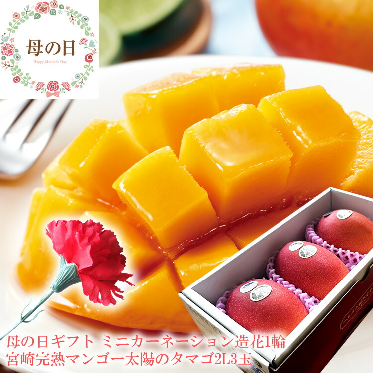 【遅れてごめんね】母の日 プレゼント 母の日 ギフト 母の日 食べ物プレゼント 母の日 フルーツ 母の日 グルメ 母の日 プレゼント 義母 母の日2025 60代 母の日 母の日 フルーツギフト ミニカーネーション造花付き 母の日 花 [太陽のタマゴ2L3玉]