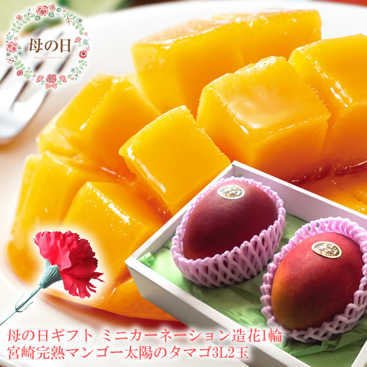 【遅れてごめんね】母の日 プレゼント 母の日 ギフト 母の日 食べ物プレゼント 母の日 フルーツ 母の日 グルメ 母の日 プレゼント 義母 母の日2025 60代 母の日 母の日 フルーツギフト ミニカーネーション造花付き 母の日 花[太陽のタマゴ3L2玉]