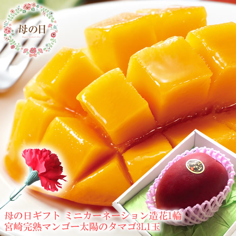 【遅れてごめんね】母の日 プレゼント 母の日 ギフト 母の日 食べ物プレゼント 母の日 フルーツ 母の日 グルメ 母の日 プレゼント 義母 母の日2025 60代 母の日 母の日 フルーツギフト ミニカーネーション造花付き 母の日 花[太陽のタマゴ3L1玉]