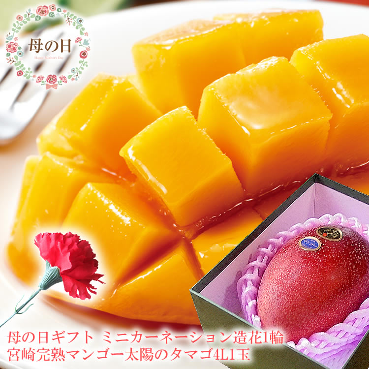 【遅れてごめんね】母の日 プレゼント 母の日 ギフト 母の日 食べ物プレゼント 母の日 フルーツ 母の日 グルメ 母の日 プレゼント 義母 母の日2025 60代 母の日 母の日 フルーツギフト ミニカーネーション造花付き 母の日 花 [太陽のタマゴ4L1玉]