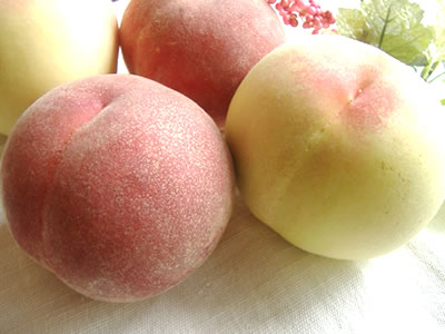 白桃设置航运山梨县自治州 3 洋葱,去皮的大糖桃和粗糙的河,和歌山县