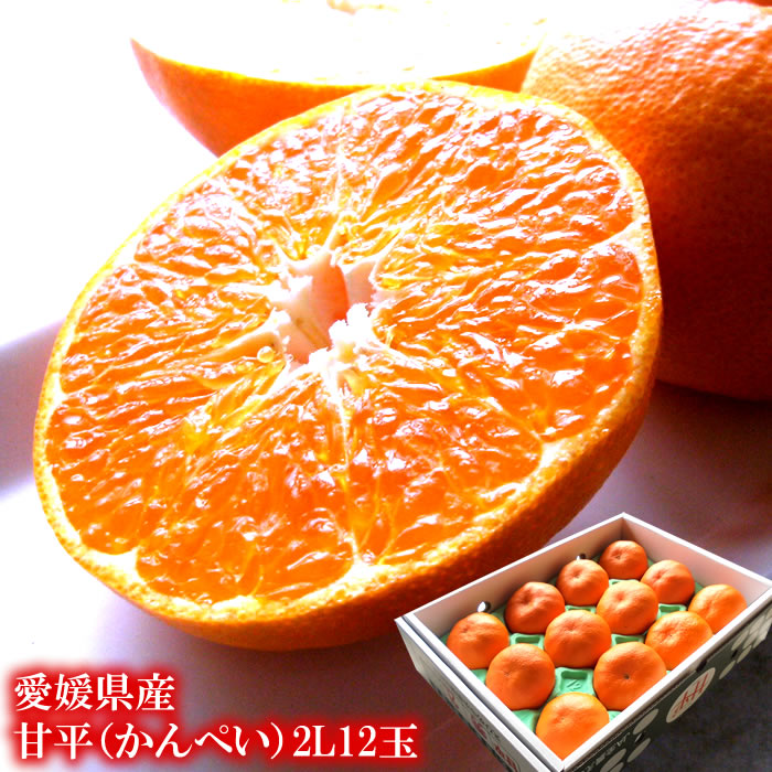 楽天市場】かんぺい 甘平 カンペイ 愛媛みかん 送料無料 フルーツ