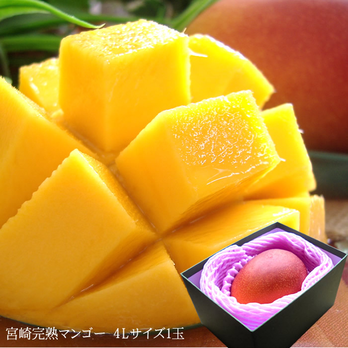 宮崎完熟マンゴー4l1玉a 内祝い 出産内祝い お祝い 謝礼 粗品 お礼 お見舞い 快気祝い お供え ご霊前 手土産ギフト ゴルフコンペ景品 ご結婚お祝い 結婚内祝い 寿 とろける甘味が自慢の宮崎完熟マンゴー 僕は何度もどん底を味わってきた やるから Diasaonline Com 宮崎完熟マンゴー4l1玉a 内祝い 出産内祝い お祝い 謝礼 粗品 お礼 お見舞い 快気祝い お供え ご霊前 手土産ギフト ゴルフコンペ景品 ご結婚お祝い 結婚内祝い 寿 とろける甘味が自慢の宮崎完熟マンゴー 僕は何度もどん底を味わってきた やるから Diasaonline Com