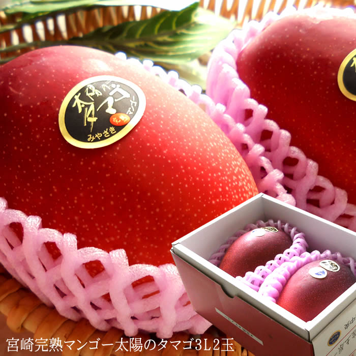 最新人気 楽天市場 太陽のタマゴ3l2玉a 内祝い 出産内祝い 誕生日プレゼント お祝い お礼 お見舞い 快気祝い お供え 手土産ギフト ゴルフコンペ景品 ご結婚お祝い 結婚内祝い 寿 フルーツショップ千馬 受賞店舗 Lexusoman Com