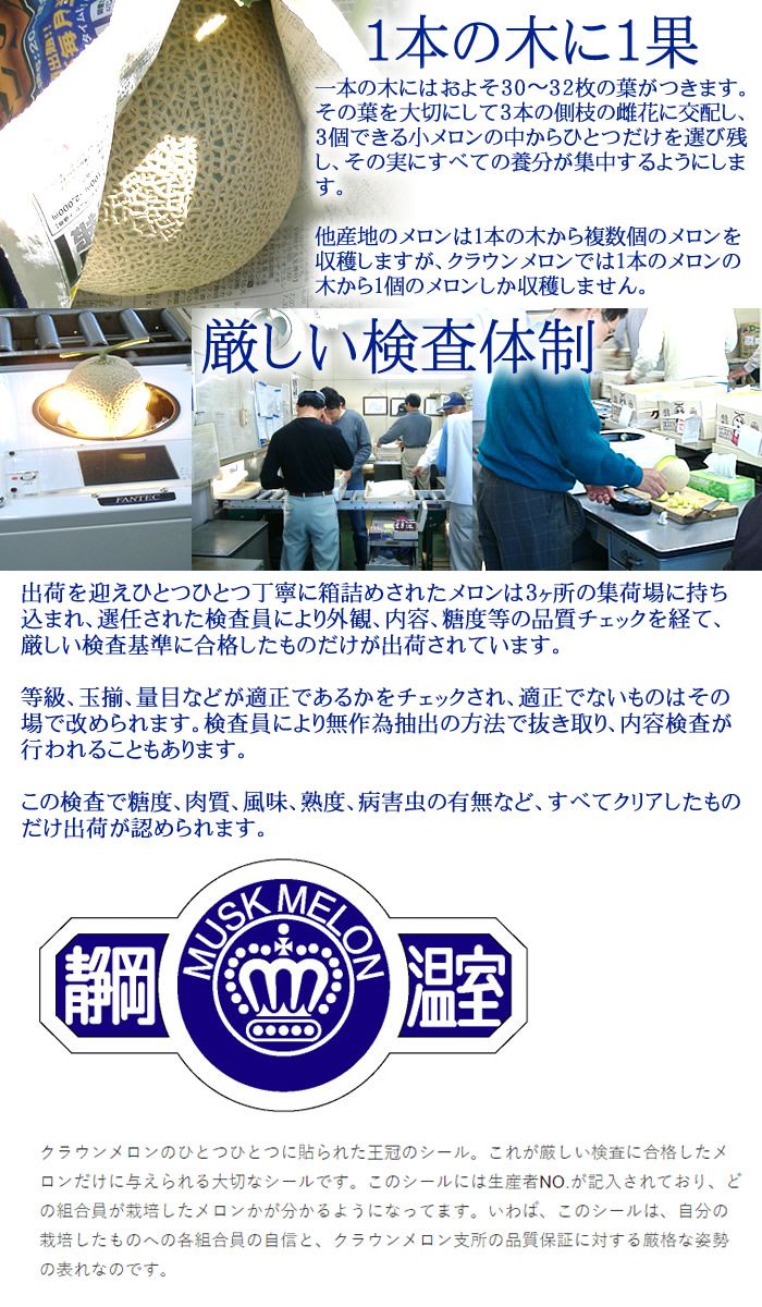 限定製作 メロン ギフト メロン静岡 静岡県産 クラウンマスクメロン山1玉 1 5kg前後 お供え ご霊前 御仏前 満中陰志 志 一周忌 三回忌 お盆 初盆 お彼岸 格安即決 Sicemingenieros Com