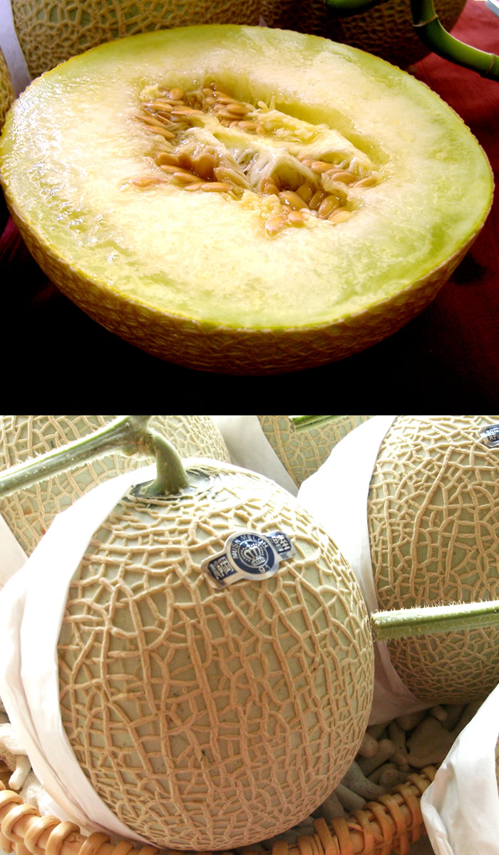 限定製作 メロン ギフト メロン静岡 静岡県産 クラウンマスクメロン山1玉 1 5kg前後 お供え ご霊前 御仏前 満中陰志 志 一周忌 三回忌 お盆 初盆 お彼岸 格安即決 Sicemingenieros Com