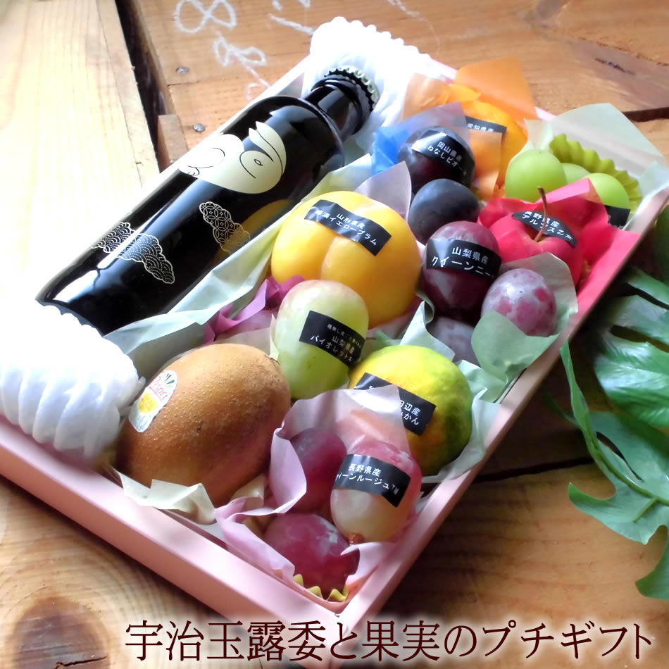 プチギフト フルーツギフト フルーツプチギフト 宇治茶 玉露 内祝い 出産内祝い 誕生日プレゼント お祝い お礼 お見舞い 快気祝い お供え 手土産ギフト ゴルフコンペ景品 ご結婚お祝い 結婚内祝い 寿 玉露と果実プチギフト11 送料無料 Lojascarrossel Com Br