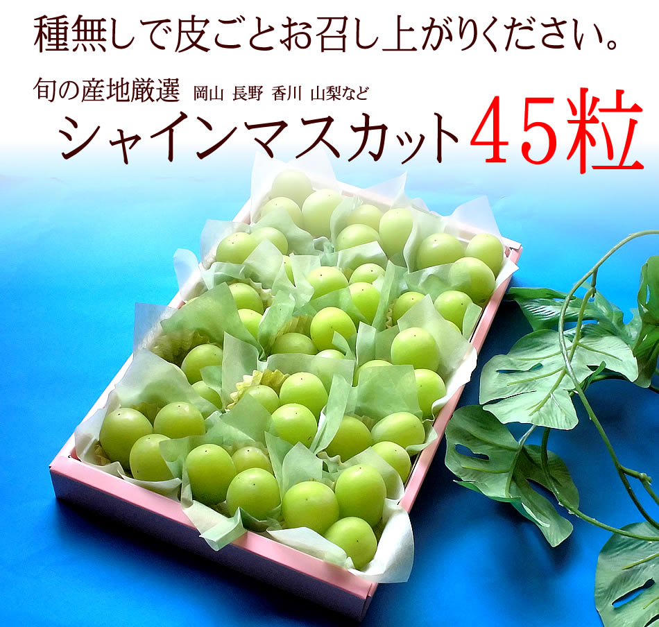 御中元 フルーツ 送料無料 内祝い お返し 出産 ギフトセット 誕生日プレゼント パーティー お返しギフト 贈り物 食べ物 果物 シャインマスカット45粒 送料無料 夏ギフト 暑中お見舞い 残暑お見舞い Rvcconst Com