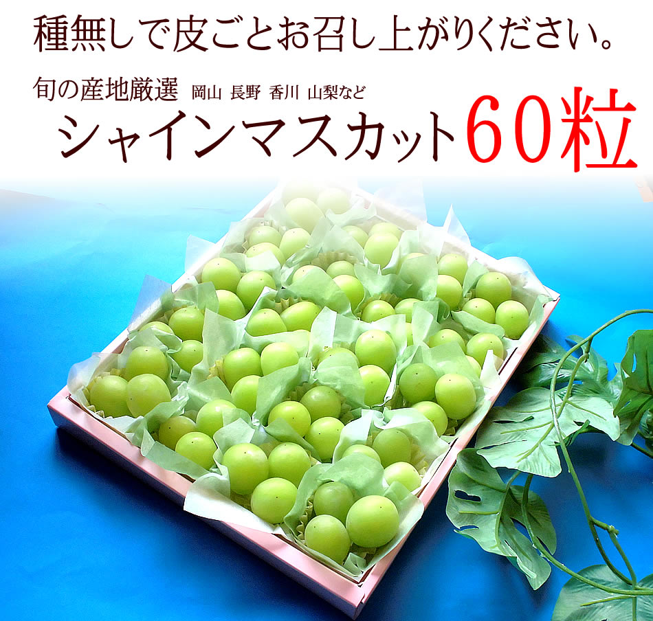 御中元 フルーツ 送料無料 内祝い お返し 出産 ギフトセット 誕生日プレゼント パーティー お返しギフト 贈り物 食べ物 果物 シャインマスカット60粒 送料無料 夏ギフト 暑中お見舞い 残暑お見舞い Sylvainpaley Cool