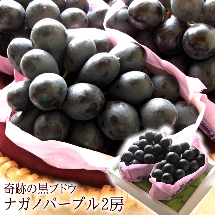 ナガノパープル ぶどう ぶどうギフト お中元 暑中お見舞い 残暑お見舞い フルーツギフト お取り寄せ 種無しぶどう 長野県産 [ナガノパープル2房] 1房当たり500g｜果物の果夢ゐブドウ