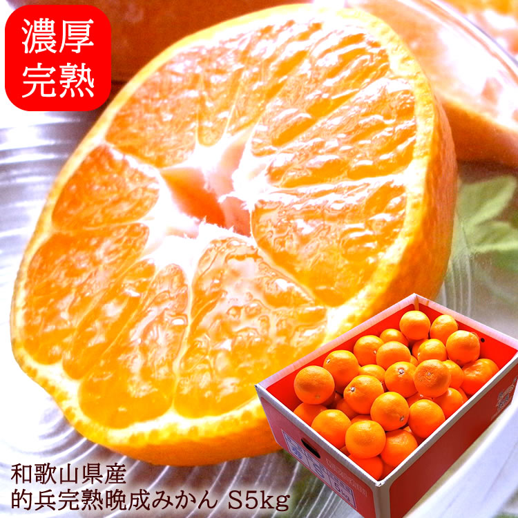 楽天市場】屋久島たんかん 屋久島タンカン 鹿児島県屋久島産[タンカン