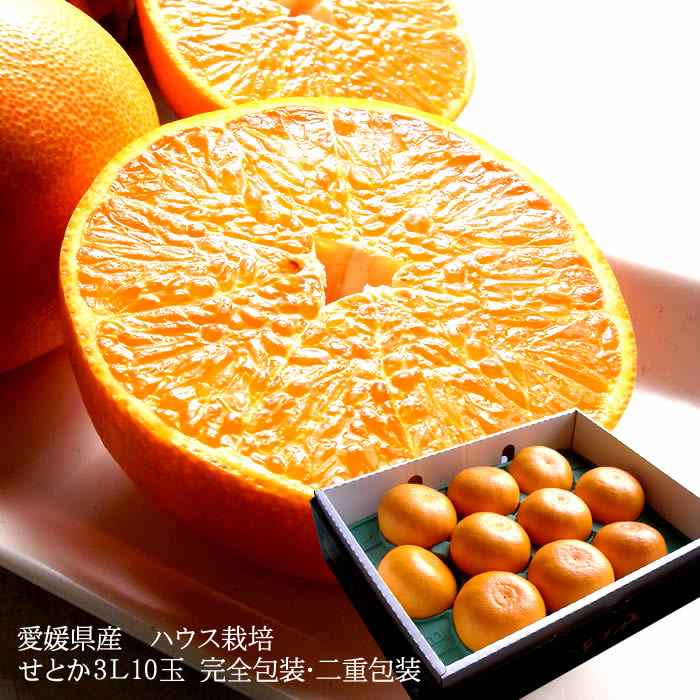 せとか 10キロ みーさる様 楽天市場】せとか みかん 大トロ 送料無料 フルーツギフト 送料無料