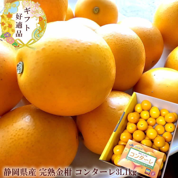 きんかん 楽天市場】静岡県産 JAしみず こん太きんかん 超大玉4L以上 秀品 約1