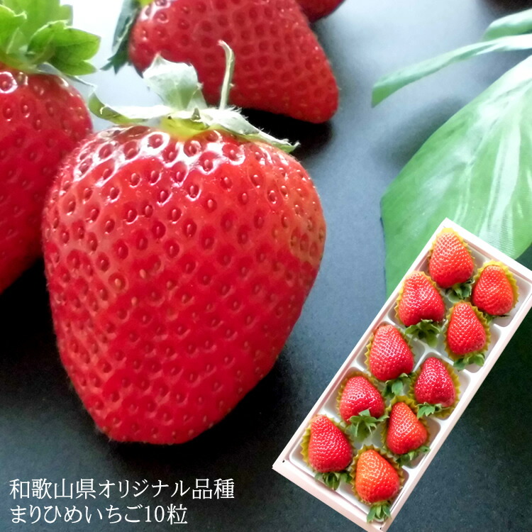 さくらももいちごページ 楽天市場】2025年1月中旬より発送開始 さくらももいちご 桜桃苺