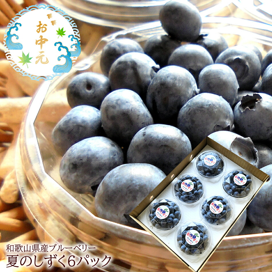 Link+ オリジナル ステンレスシンカー 10パックセット 1oz 28g Link+ オリジナル ステンレスシンカー 10パックセット 1oz 28g