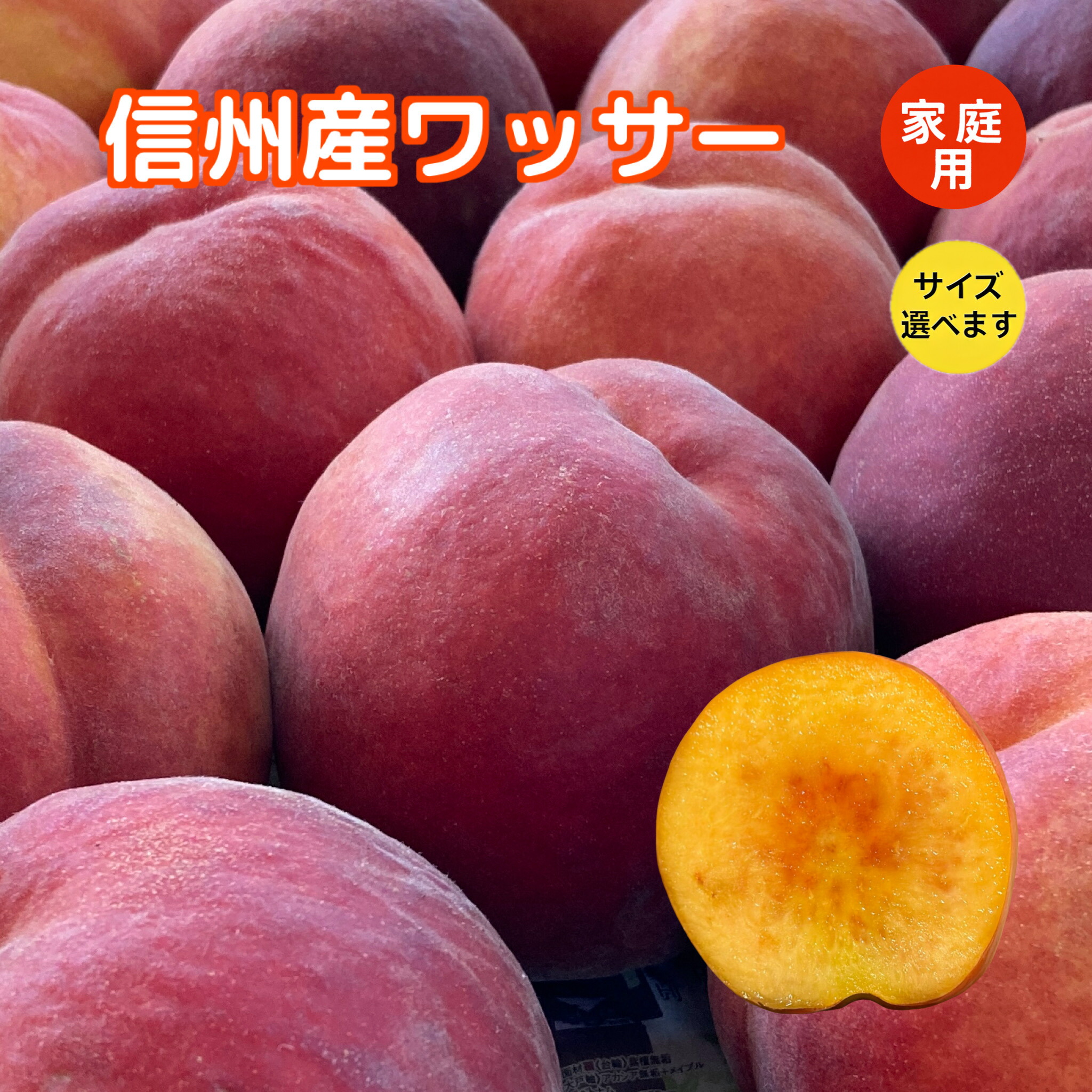 新鮮プラム 5キロ 新鮮プラム 5キロ 楽天市場】5kg（プラム｜フルーツ・果物