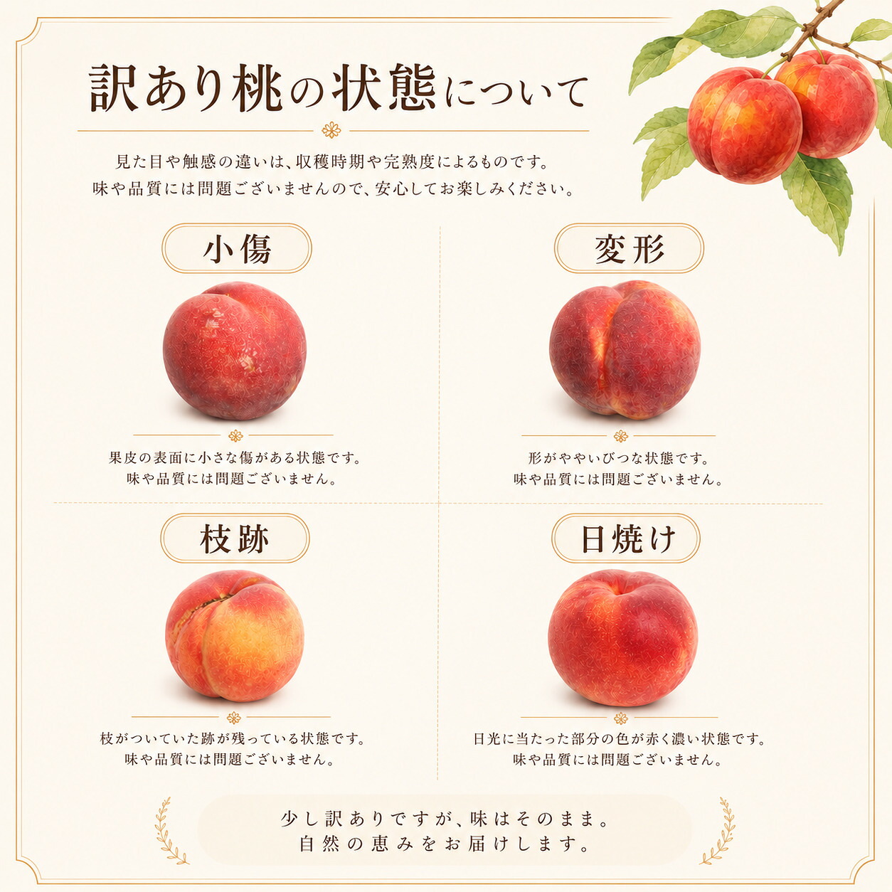 ❤︎ キズありワッサー 約9㎏ （サイズ中・小） ❤︎ キズありワッサー